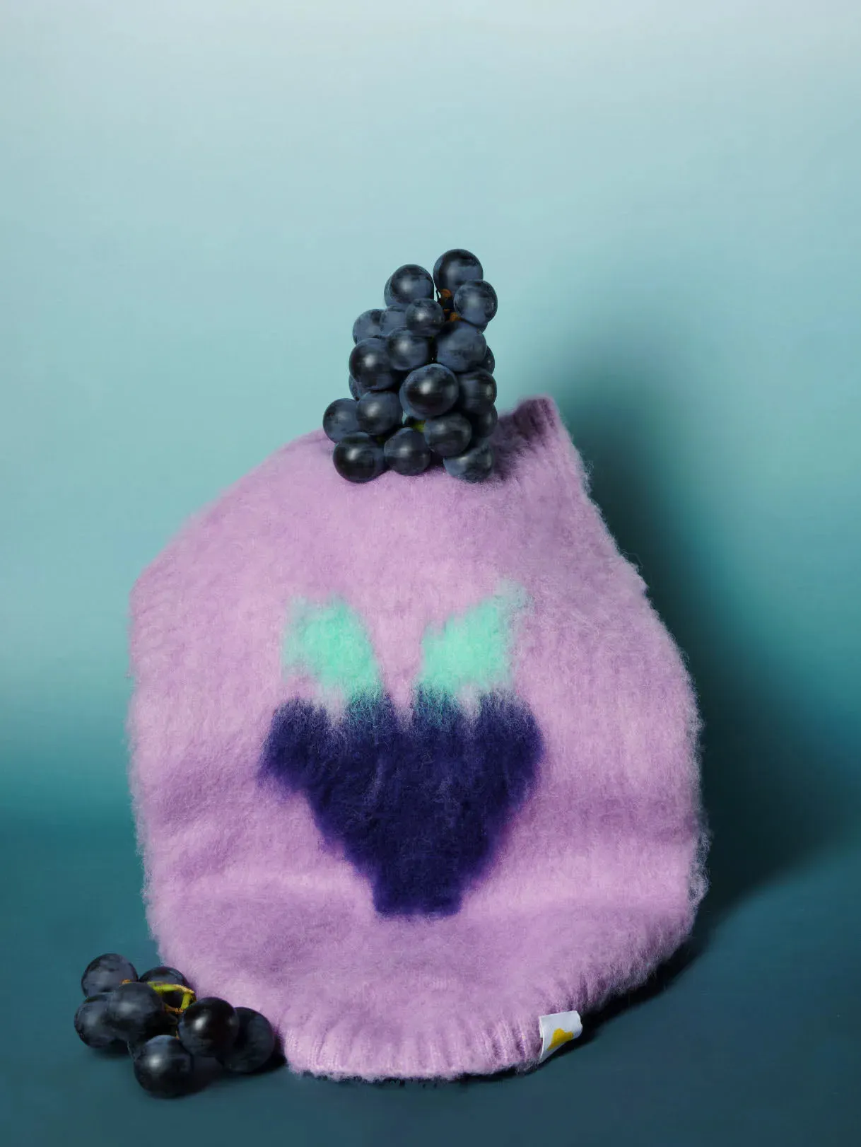 Fruit Market | Ultra-Soft Stretchy Fluffy Dog Pullover