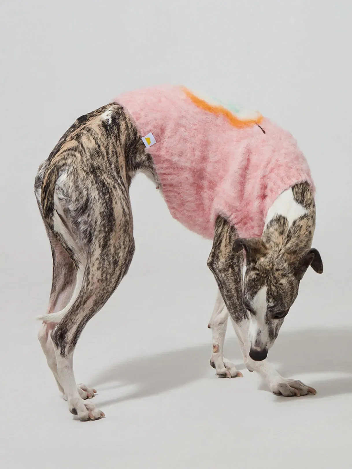 Fruit Market | Ultra-Soft Stretchy Fluffy Dog Pullover