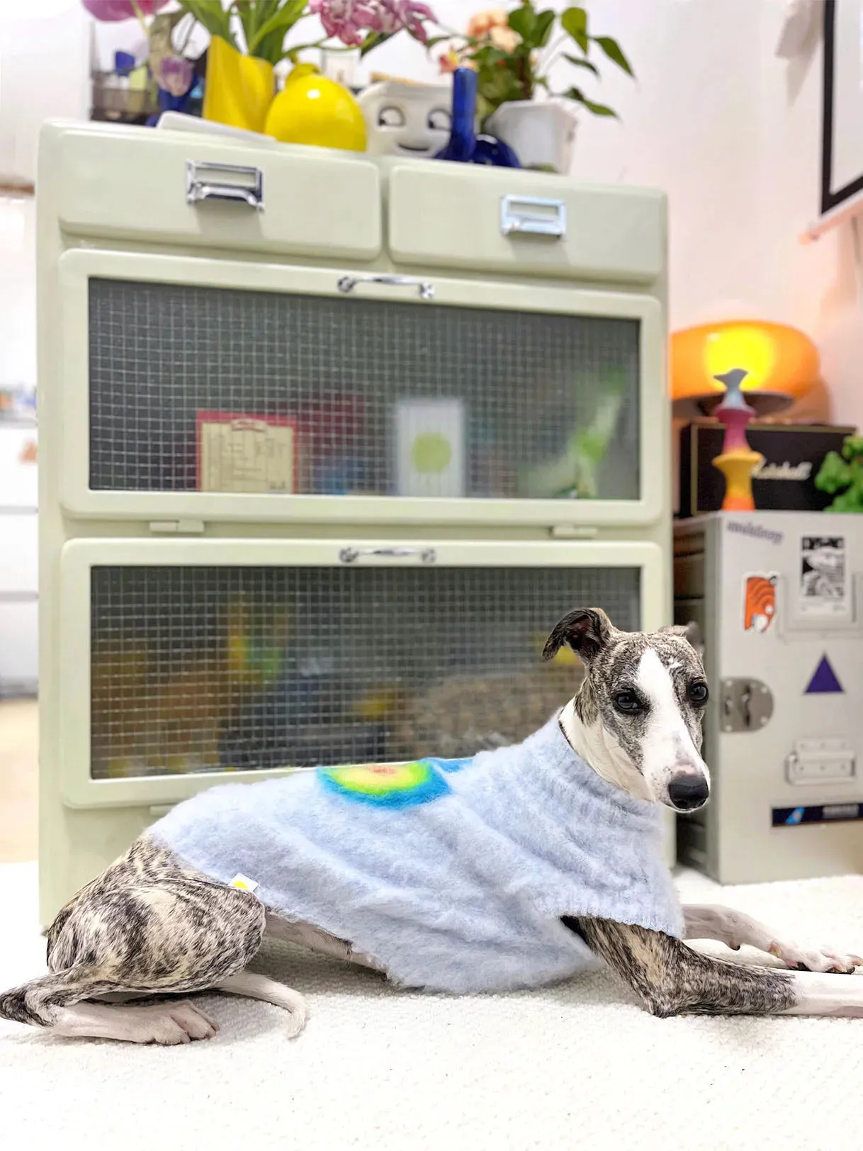 Fruit Market | Ultra-Soft Stretchy Fluffy Dog Pullover