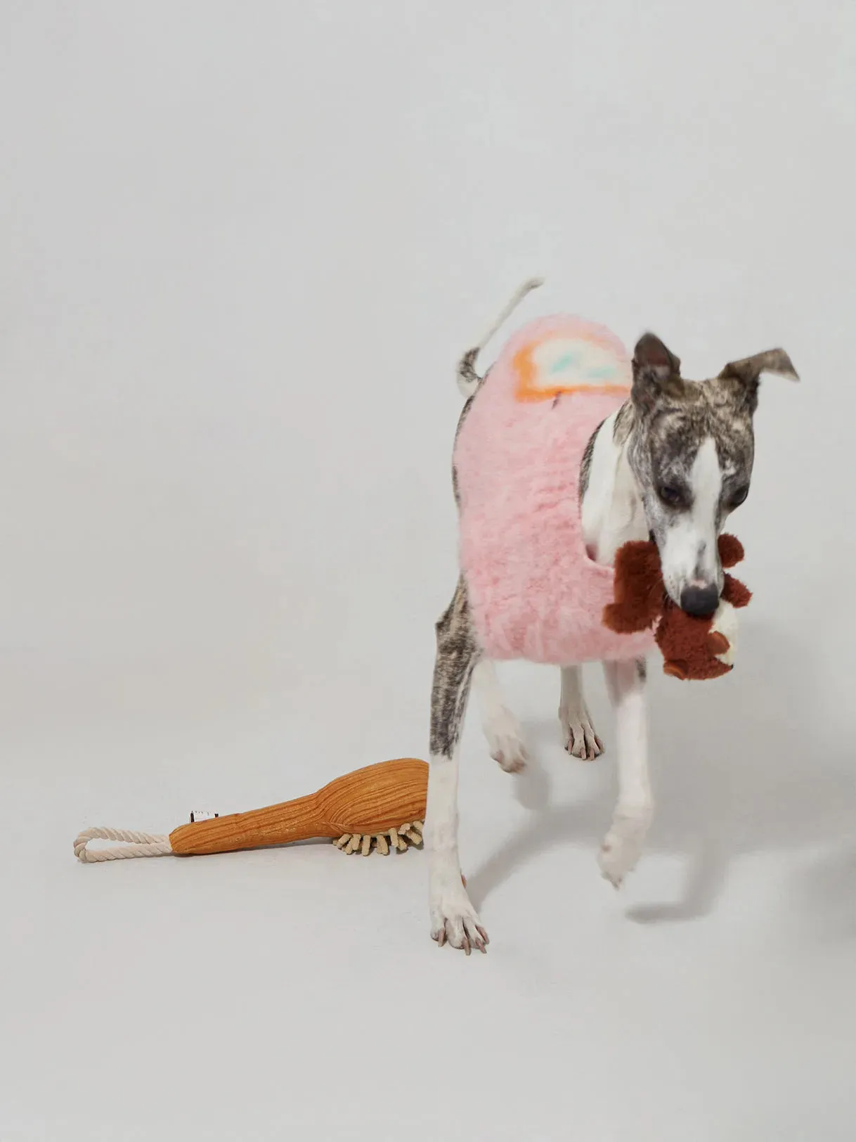 Fruit Market | Ultra-Soft Stretchy Fluffy Dog Pullover