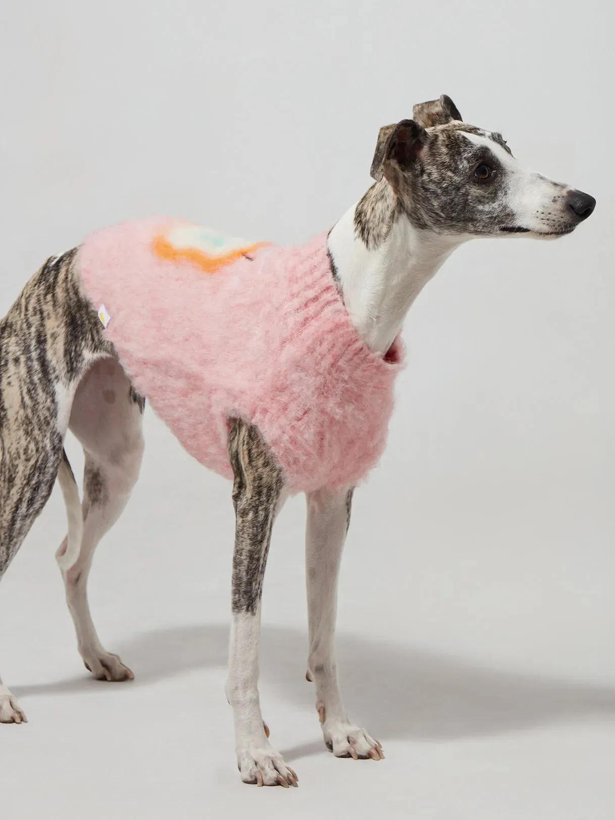 Fruit Market | Ultra-Soft Stretchy Fluffy Dog Pullover