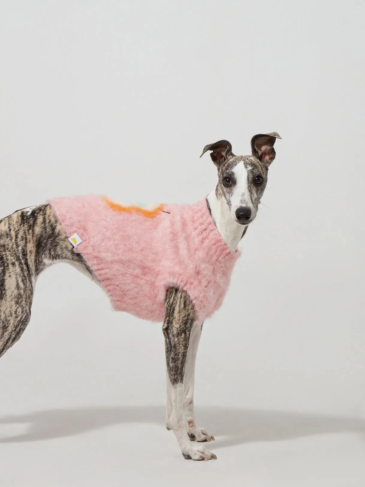 Fruit Market | Ultra-Soft Stretchy Fluffy Dog Pullover