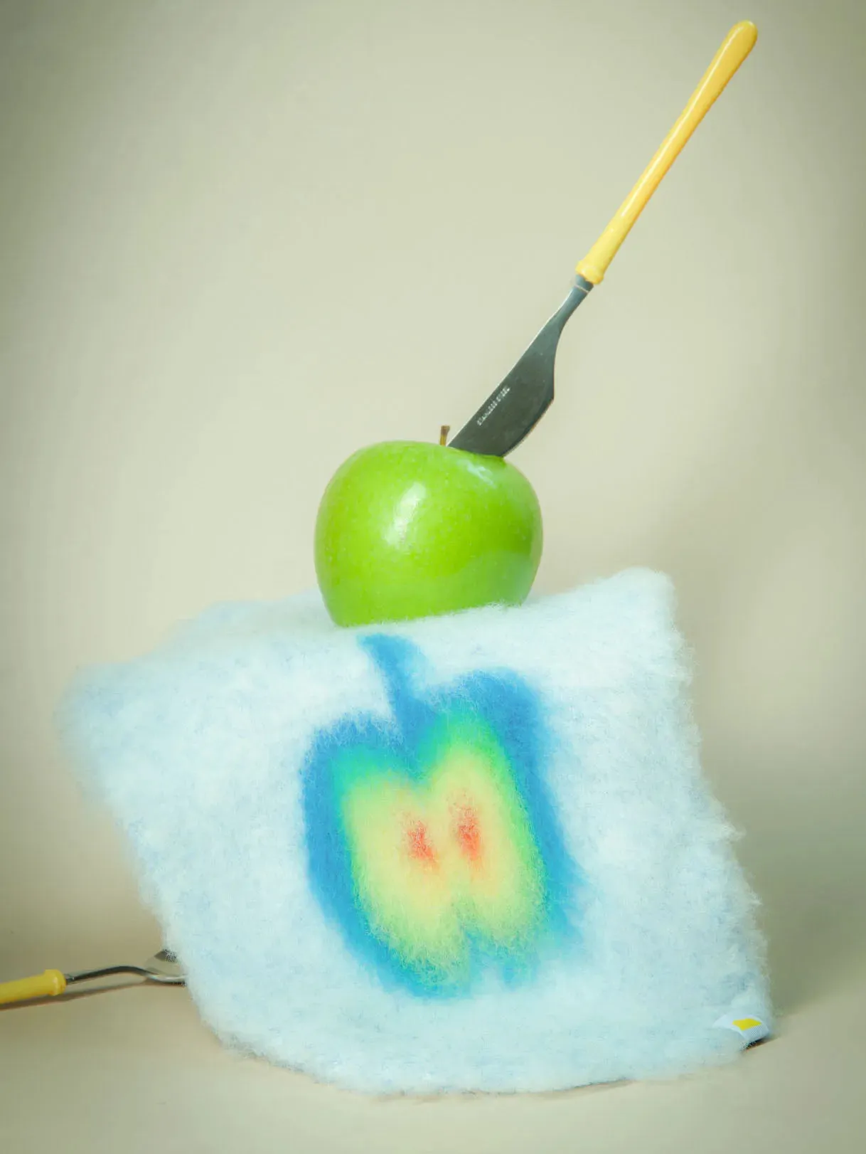 Fruit Market | Ultra-Soft Stretchy Fluffy Dog Pullover